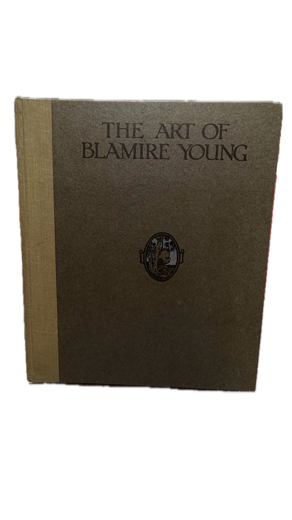 The Art of Blamire Young Special Number of Art in Australia